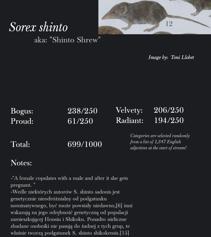 Sorex shinto